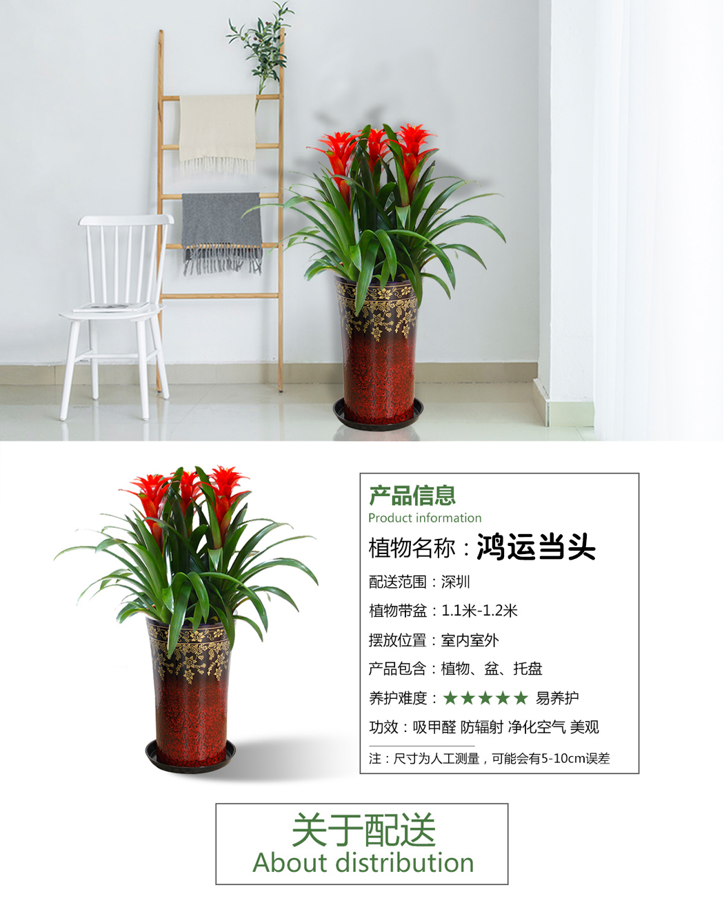 花植颂出品,鸿运当头