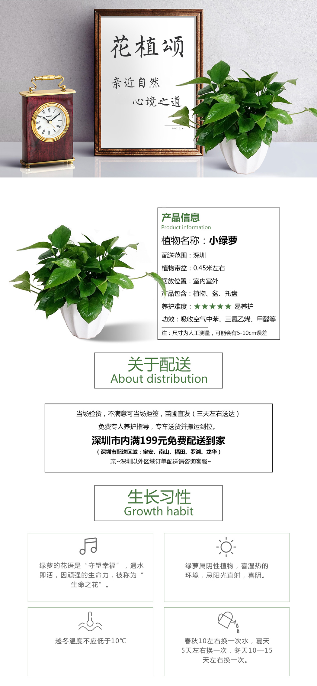 绿萝植物资料卡图片